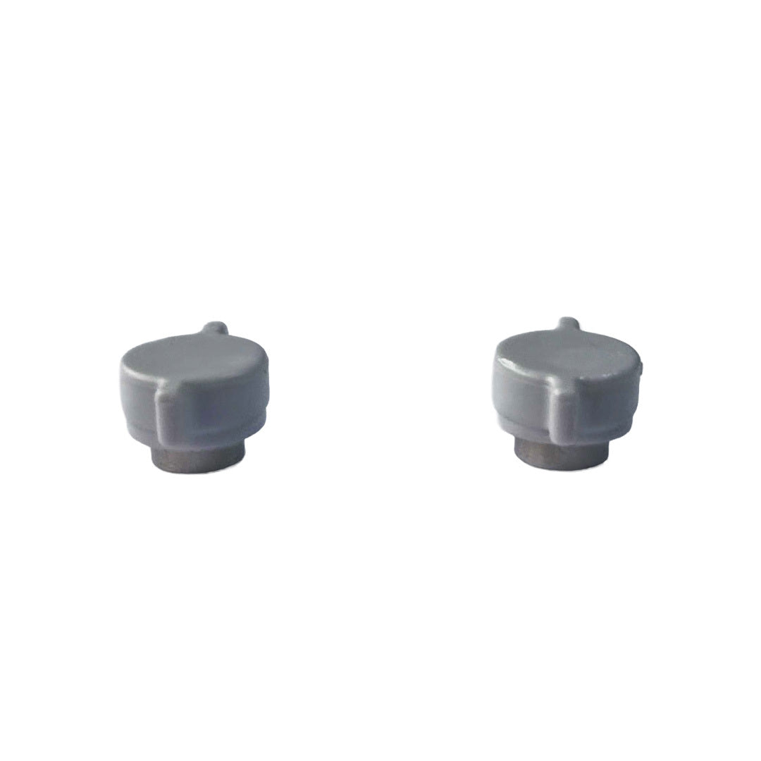 Pair of screws