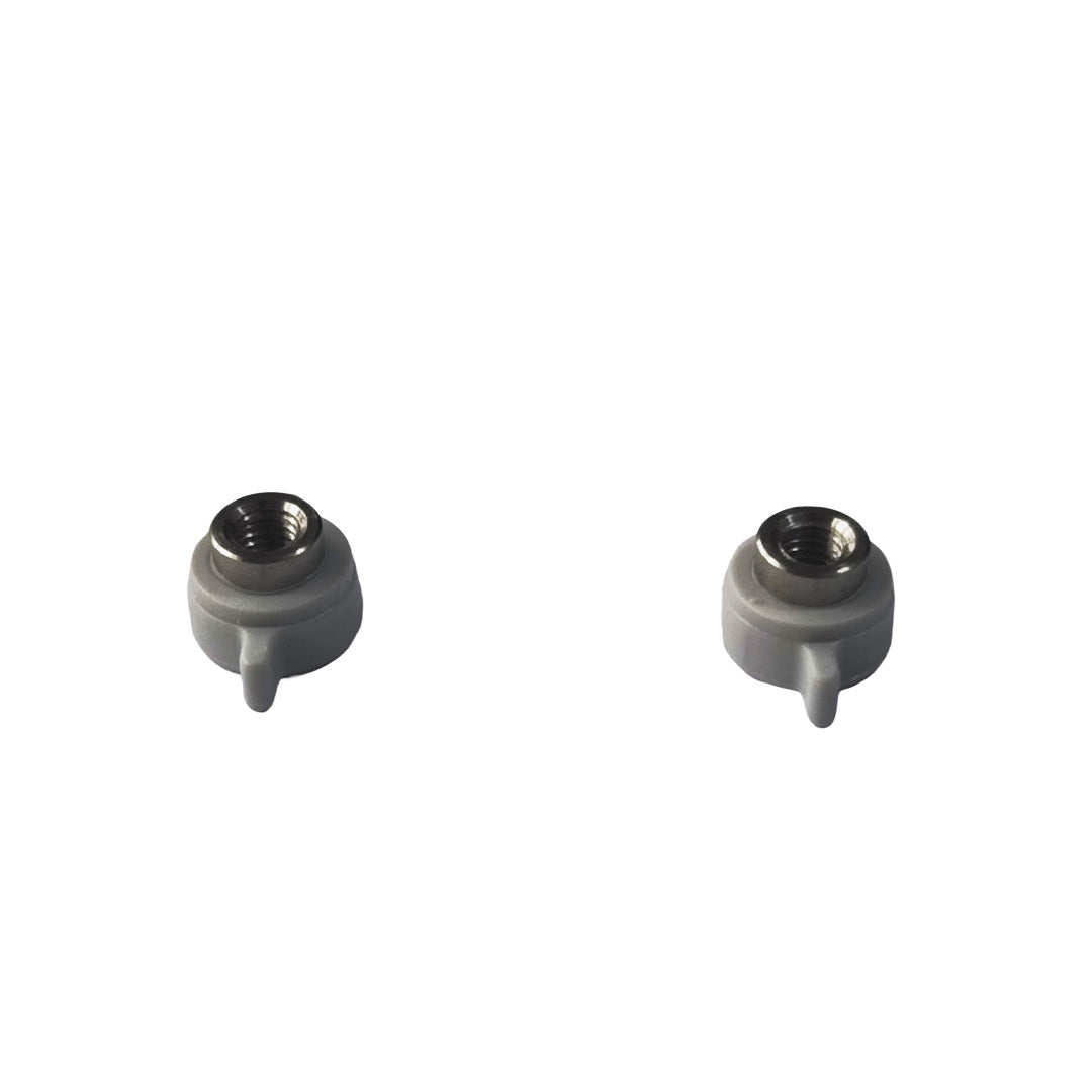 Pair of screws